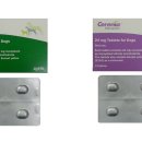 김비타약국 이미지