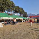 지리산 | 지리산 봄꽃 레이스 후기