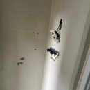 피디디에스 이미지