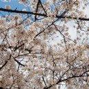 가락타운상가시장 이미지