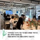 더자히르