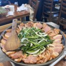 덕수농장 | 태안여행 1박2일 🩵 청산수목원 + 백화산구름다리 | 태안 정복 완료