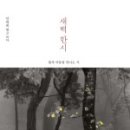 홍일농장 | 새벽한시