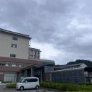 상심정지 | 기대와 슬픔이 공존하는 임신 이야기 - 유산, 자궁외 임신 가능성을 진단받다.