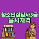 컴퓨터활용능력(자격,연간) | 청소년상담사3급 응시자격 비전공자가 15주에 자격갖춘법