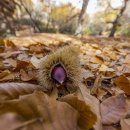 군산서적 이미지