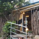 연탄춤추는돼지 이미지