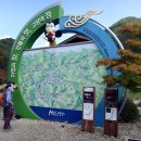 아랫대티 숲 이미지