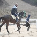 장수목장2 이미지