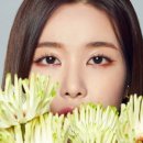 루시아미