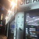 네모안경콘택트 이미지