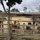 대춘목장2 이미지