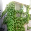 써클케이모터스 이미지