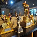 뉴바디짐 이미지