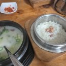 설문진설렁탕 네이버블로그