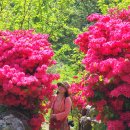 호포농장 이미지