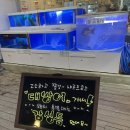 회가좋아