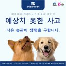 씽씽 동물의료센터 이미지