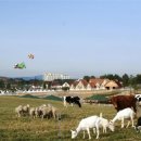 미래목장 이미지