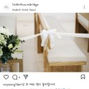 본식 촬영, 리시안 스냅 예약 후기 (짝꿍 완료)
