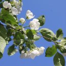 심산농장 이미지