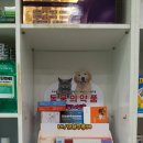 메디팜우정약국 이미지