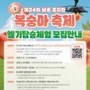 조치원