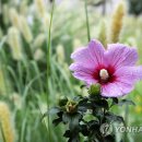 촉촉이네 이미지