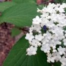 운수사약수터 이미지