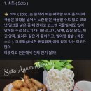 AFTERTASTE 🍵 이미지