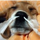 힐링창고 이미지