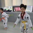 힘튼태권도 이미지