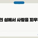 몰디브서프
