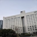 스타일펫 | 제주 애견동반 호텔 메종글래드 제주 펫 헤리티지 스위트 온돌룸