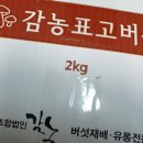 오영란농장 네이버블로그