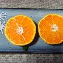 선돌농장 이미지