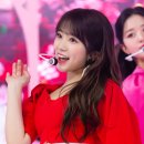 fiesta 이미지