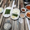널독