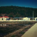 동리 농장 이미지