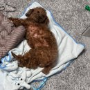 공단로111 이미지