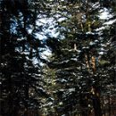 황금빛 노을 이미지