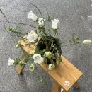 백현Se동물병원 | 26'오랜만에 돌아온 블로그 4월일상