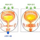 벨라쥬여성의원 이미지