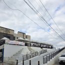 월령리 농어촌체험휴양마을 | 제주 세화 농어촌체험휴양마을 프로그램 참여 후기 ! (제주 현지인과 함께하는 카름스테이 프로그램)