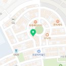 일산고양이분양&미용 반하나캣 이미지