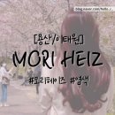 모리헤이즈 | MORI HEIZ: 이태원 미용실 모리헤이즈 한남 본점 염색 후기