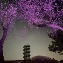 갯골캠핑장 이미지