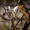 금호동주민자치센터 이미지