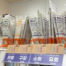 살구펫 | 광주 계림동 24시반려동물용품 매장 위글리 펫 후기