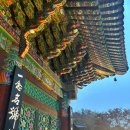 스테이 하냥 이미지